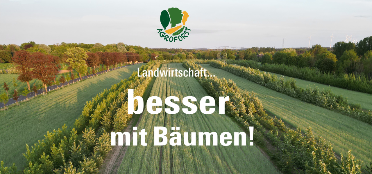 Landwirtschaft... besser mit Bäumen! Foto: Lignovis GmbH